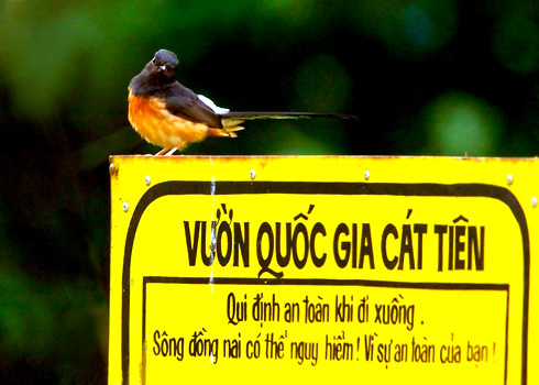 Natural treasures of Vietnam
